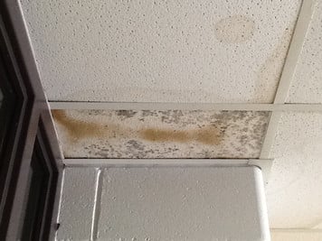 rib Lake High School Damaged Ceiling Tiles