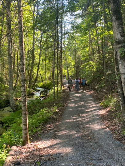 Crew enjoying a stroll woods after hard days work