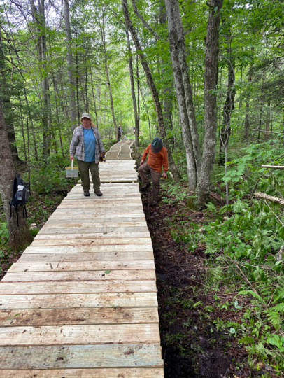 Volunteers pausing on the boardwalk for a mid project photo