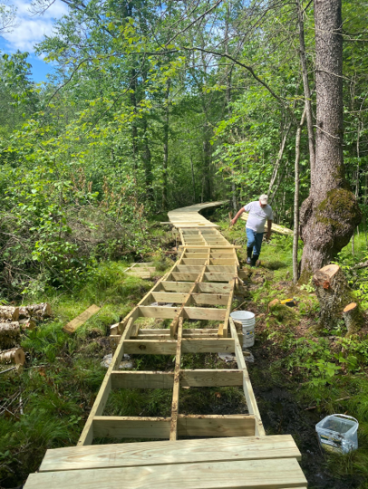 Constructed boardwalk zig-zag through the forest