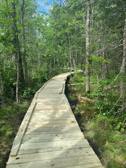 Another section getting ready for side rails