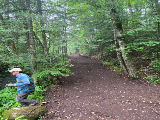 Sound forest management trailwork