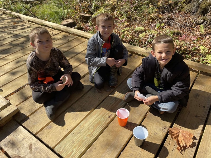 2nd graders learning about forest animals