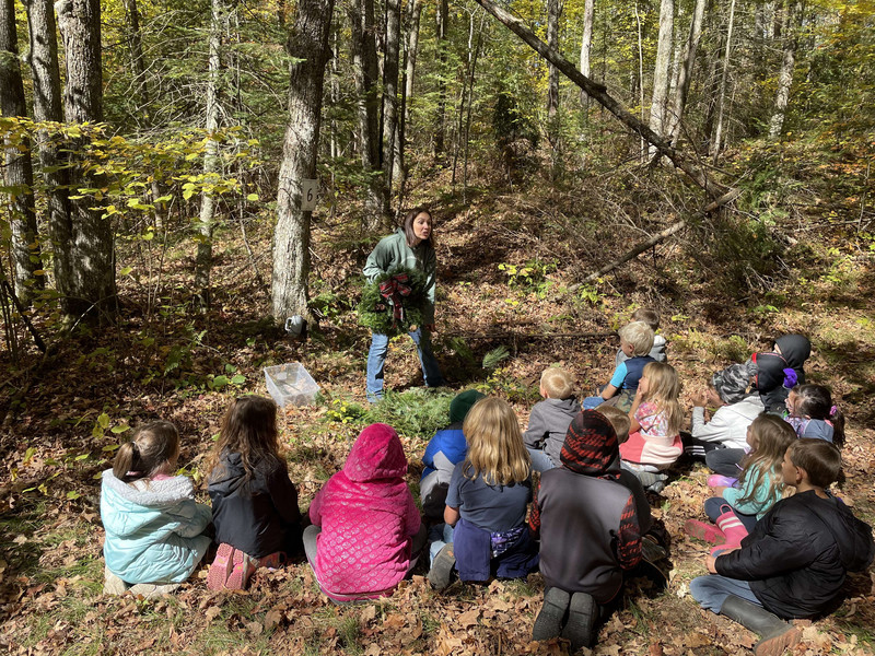 Elementary students learning about evergreen trees
