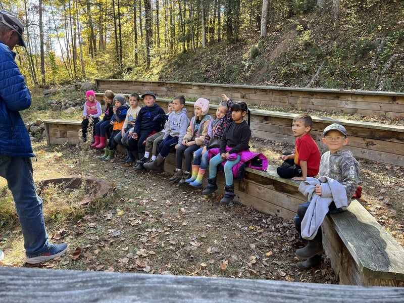 Elementary students learning about evergreen trees