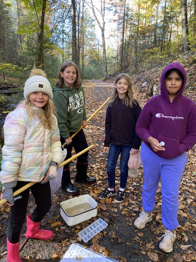 Group of girls sorting water organisms