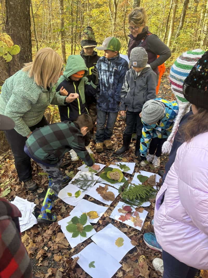 Mrs. Martin and students identifying leaves