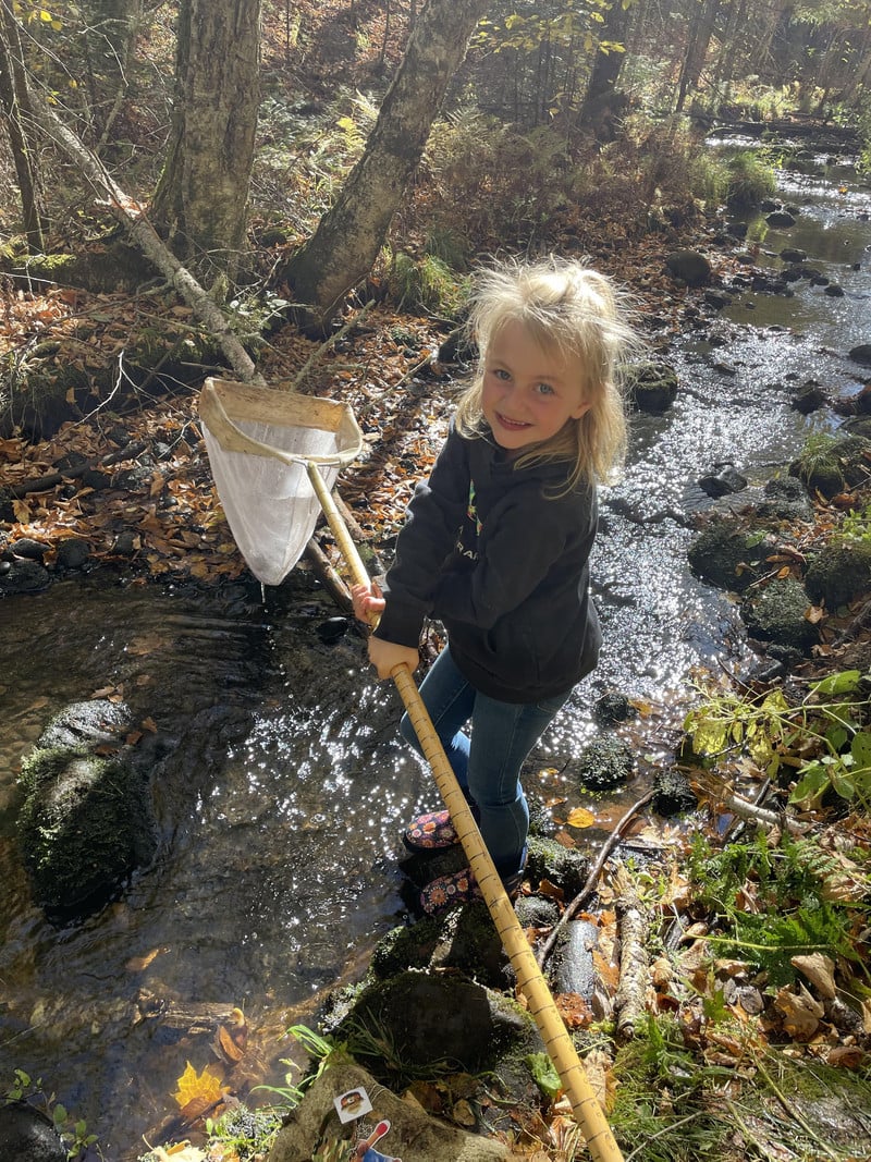 Student on edge of creek with net collecting samples from creek