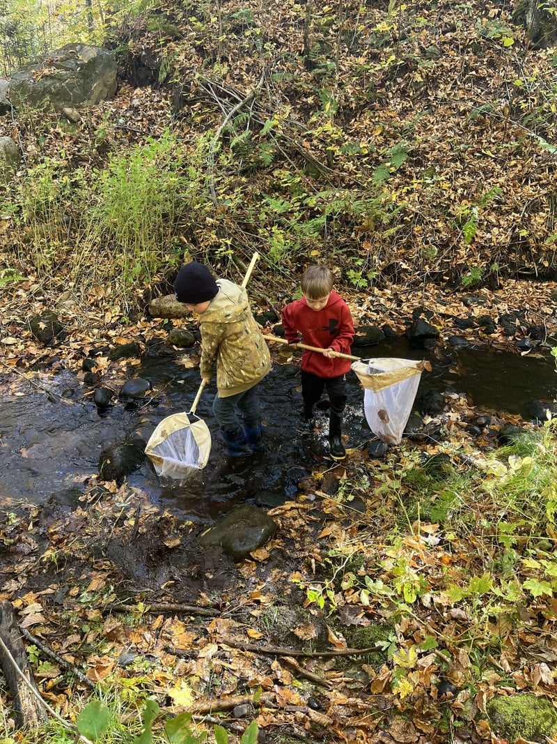 Two boys in the creek using nets to collect samples from the creek