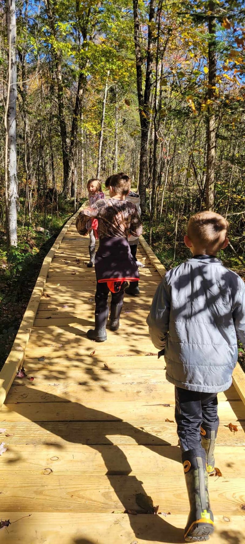 Three elementary students exploring along the boardwalk