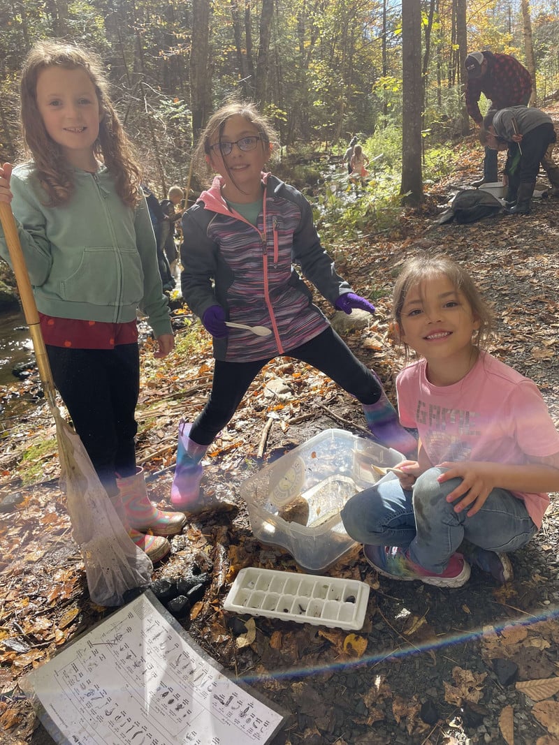 Three elementary girls identifying aquatic insects