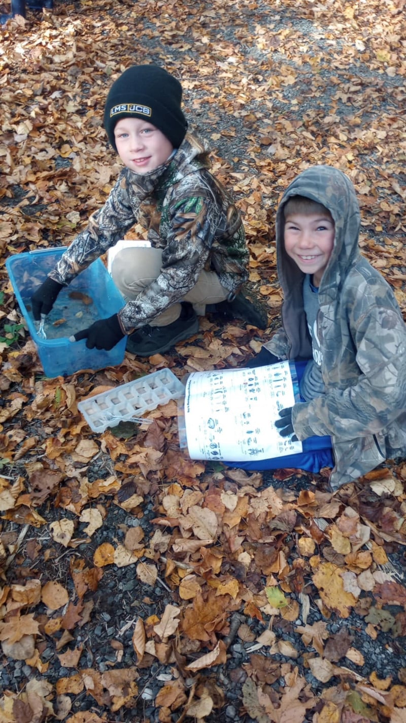 Students work to identify insects