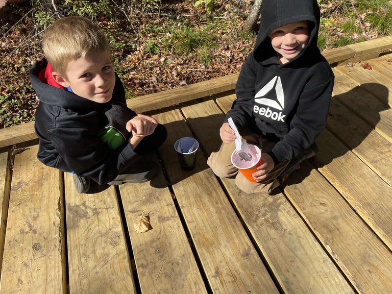 Students learning about animals in the forest