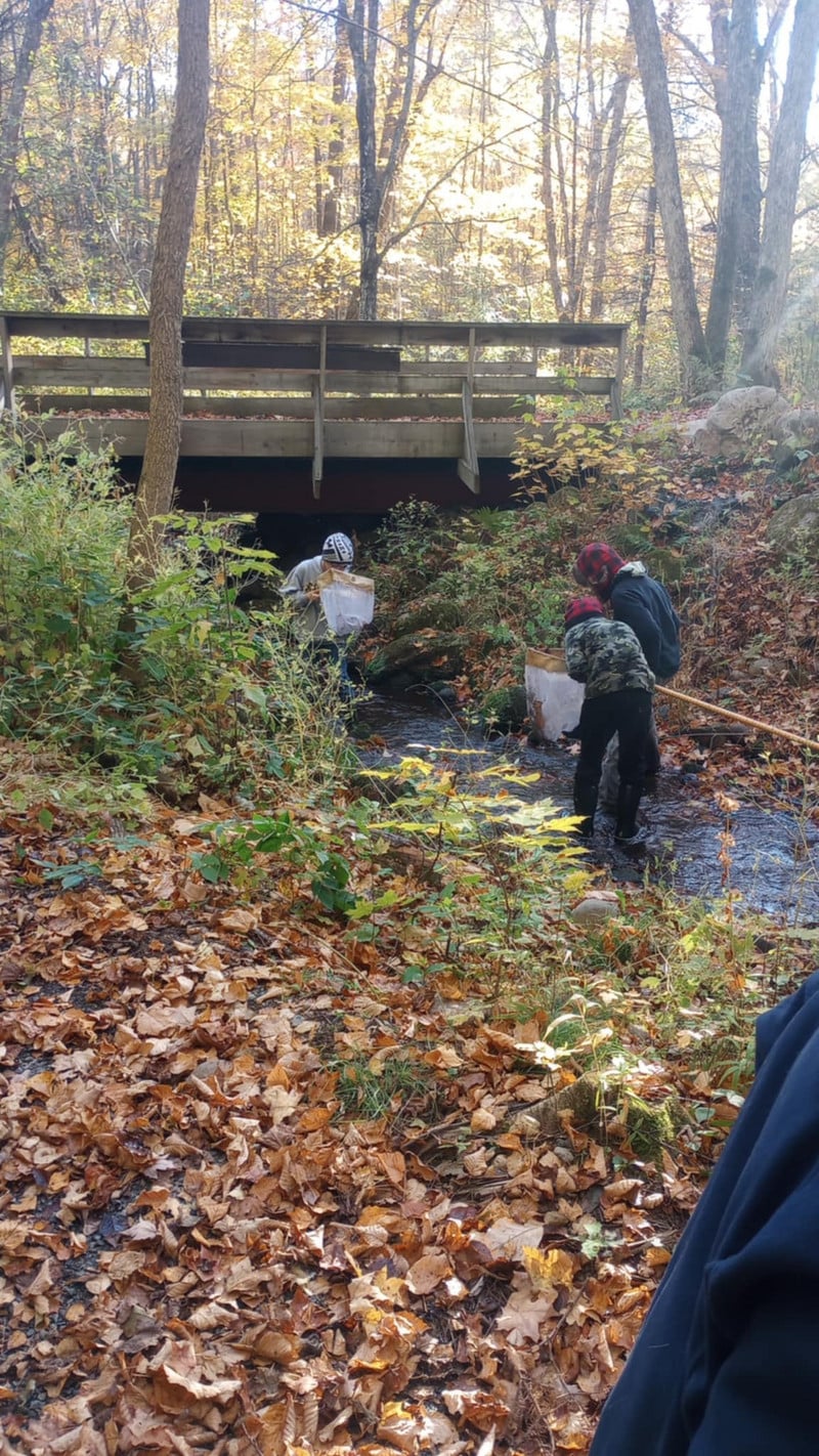 Students finding organisms under bridge in creek