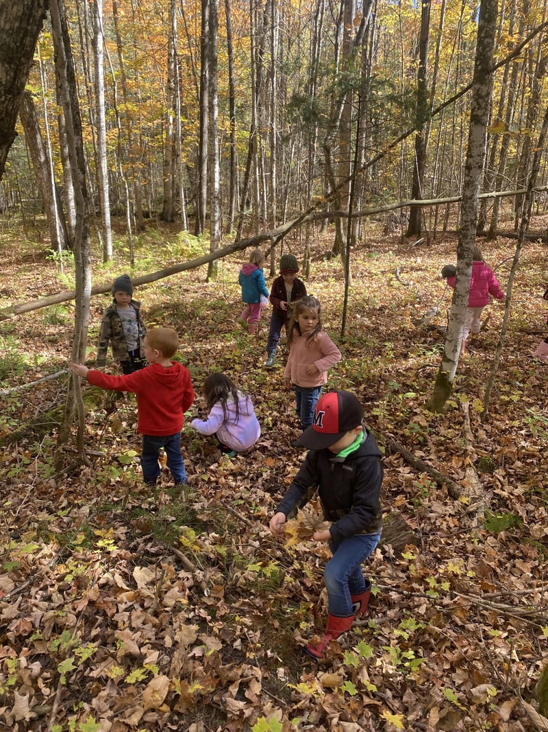 Kindergarteners exploring leaves along the forest floor