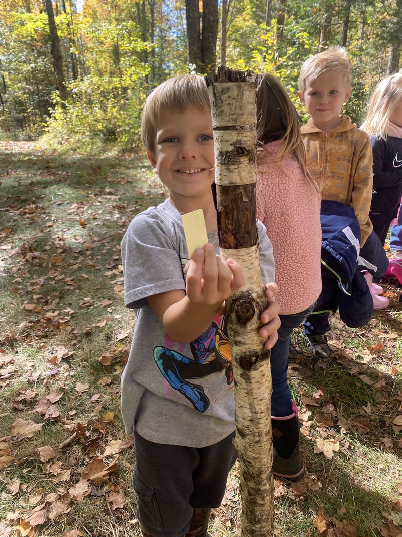 Identifying tress in the forest