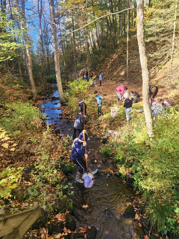 Students using nets in creek